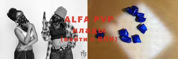 амф Липки